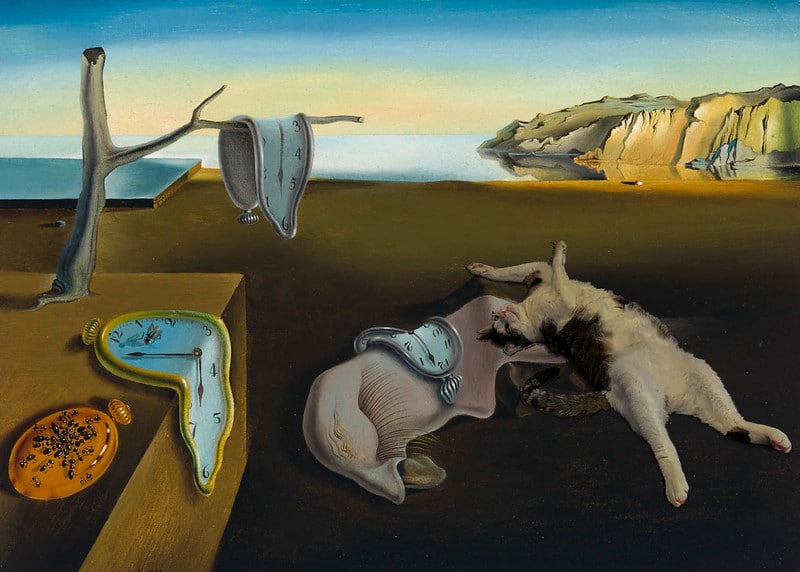 Dalí – Freud Ausstellung 